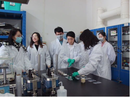 第二届青山科技奖揭晓，十位青年科研工作者凭碳中和成果获殊荣