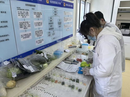 筑牢冬季旅游“舌尖防线” 哈尔滨启动食品安全快检宣传活动